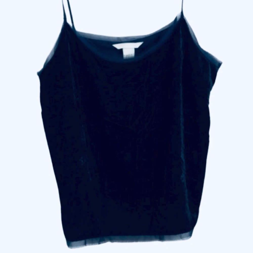 H & M Blue Velvet Spaghetti Strap Top Eyelash Edge